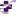 CHRISTUS Health Plan (TX) payer logo — supported connection for prior authorization and RCM automation on Prior Auth Space